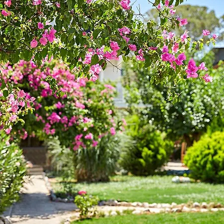 Fi Light Solto Boutique Selimiye