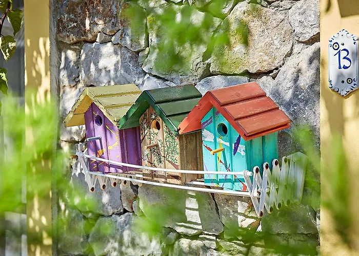 Fi Light Solto Boutique