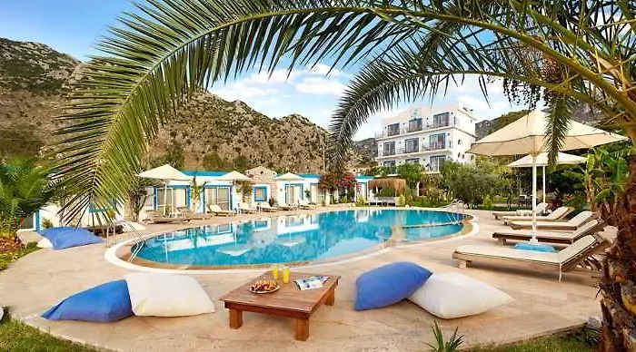 Fi Light Solto Boutique