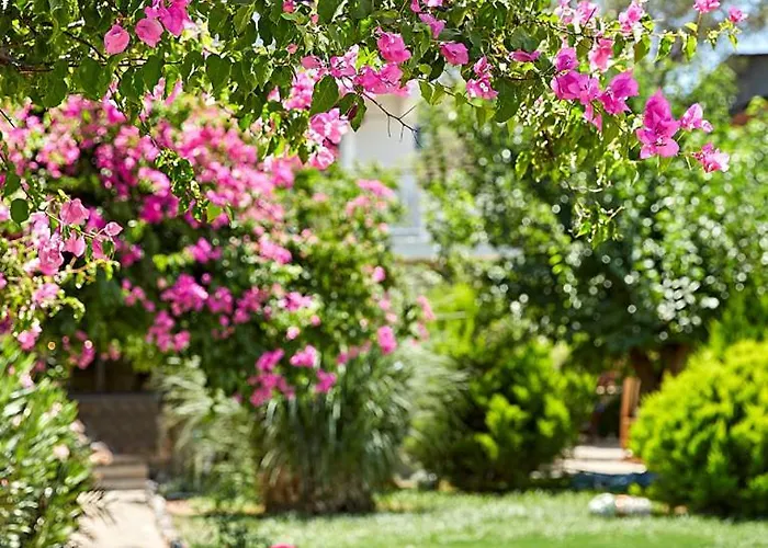 Fi Light Solto Boutique Selimiye (Aegean)