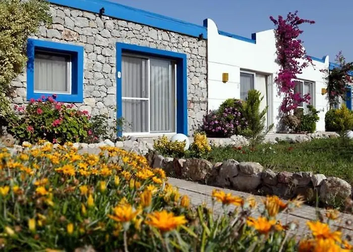 Fi Light Solto Boutique