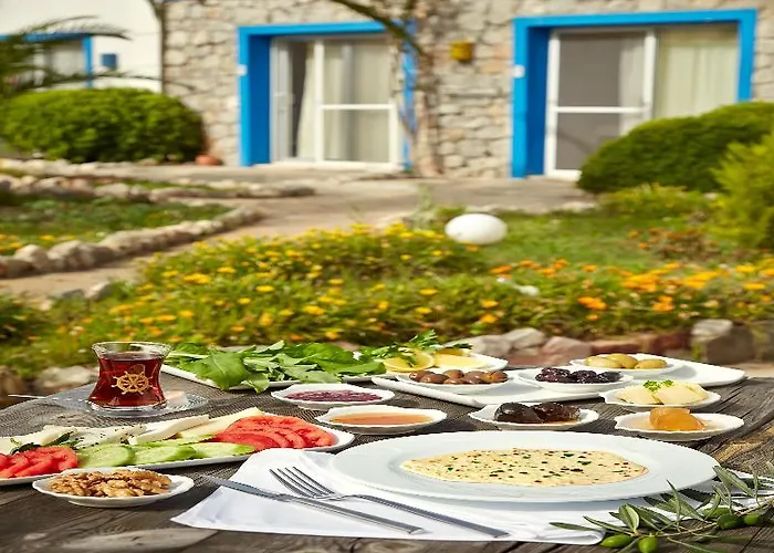 Hotel Fi Light Solto Boutique